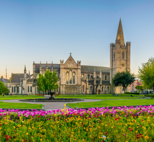 St. Patrick&rsquo;s Cathedral in Dublin mit gepflegtem Rasen und Blumenbeet im Vordergrund bei klarem Himmel.