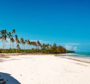 AdobeStock 416772225