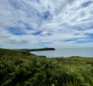 Gr&uuml;ne K&uuml;stenlandschaft in Irland mit Blick auf das Meer und bew&ouml;lkten Himmel.