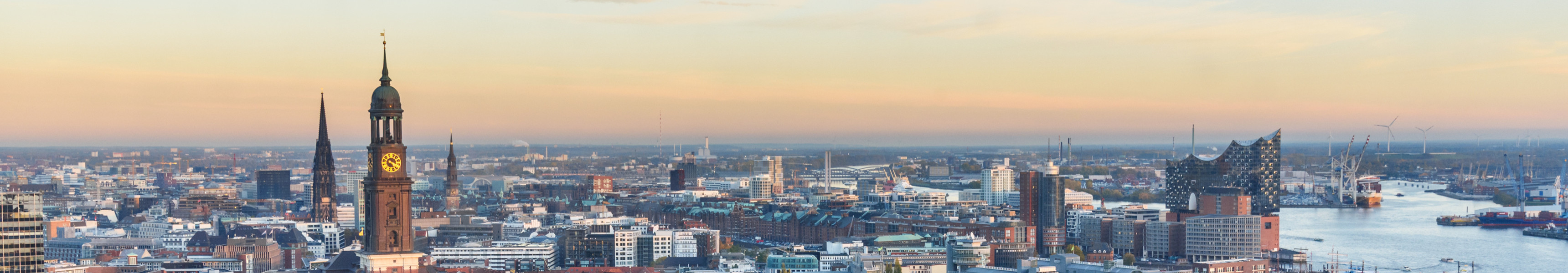 Panoramablick auf Hamburg mit Michelkirche, Elbphilharmonie und herbstlich gefärbtem Park