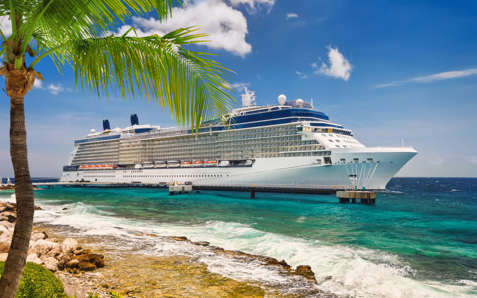 Kreuzfahrtschiff vor der K&uuml;ste 