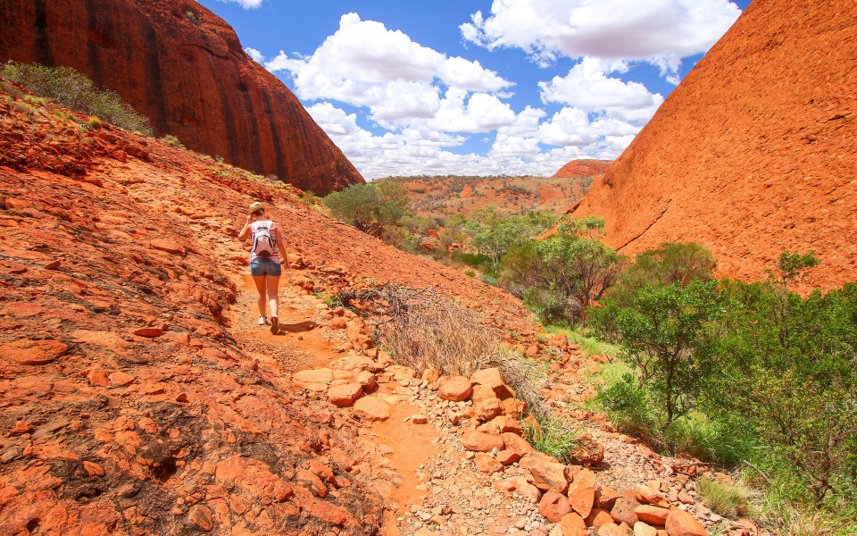 Wanderung im Uluru-Kata Tjuta Nationalpark, Australien, mit rotem Felsen und gr&uuml;ner Vegetation.
