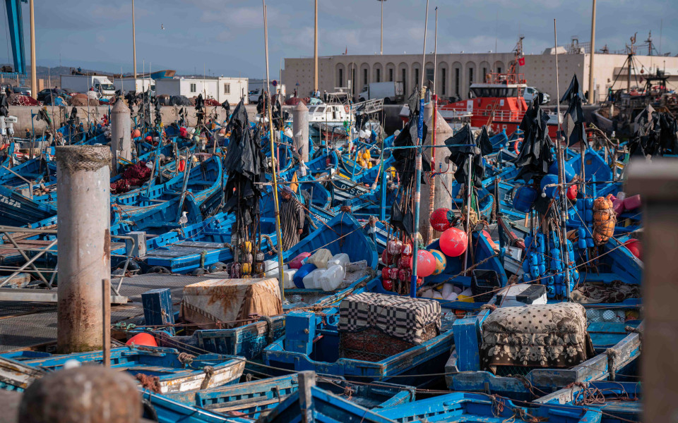 Dicht aneinandergereihte blaue Fischerboote mit bunten Bojen und Netzen im gesch&auml;ftigen Hafen von Essaouira, Marokko. 
